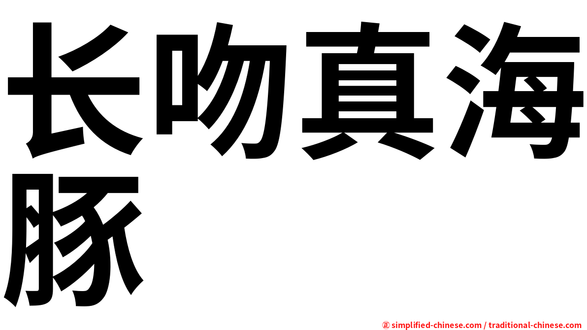 长吻真海豚