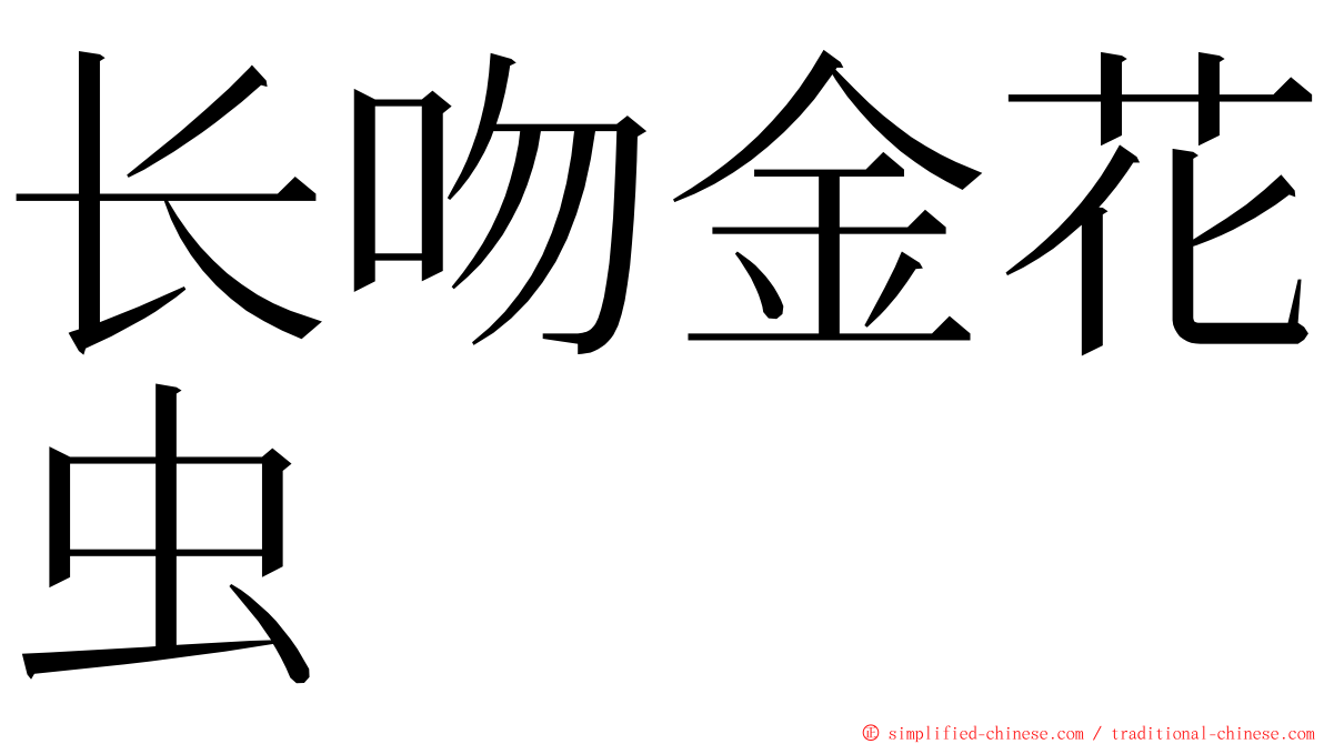 长吻金花虫 ming font