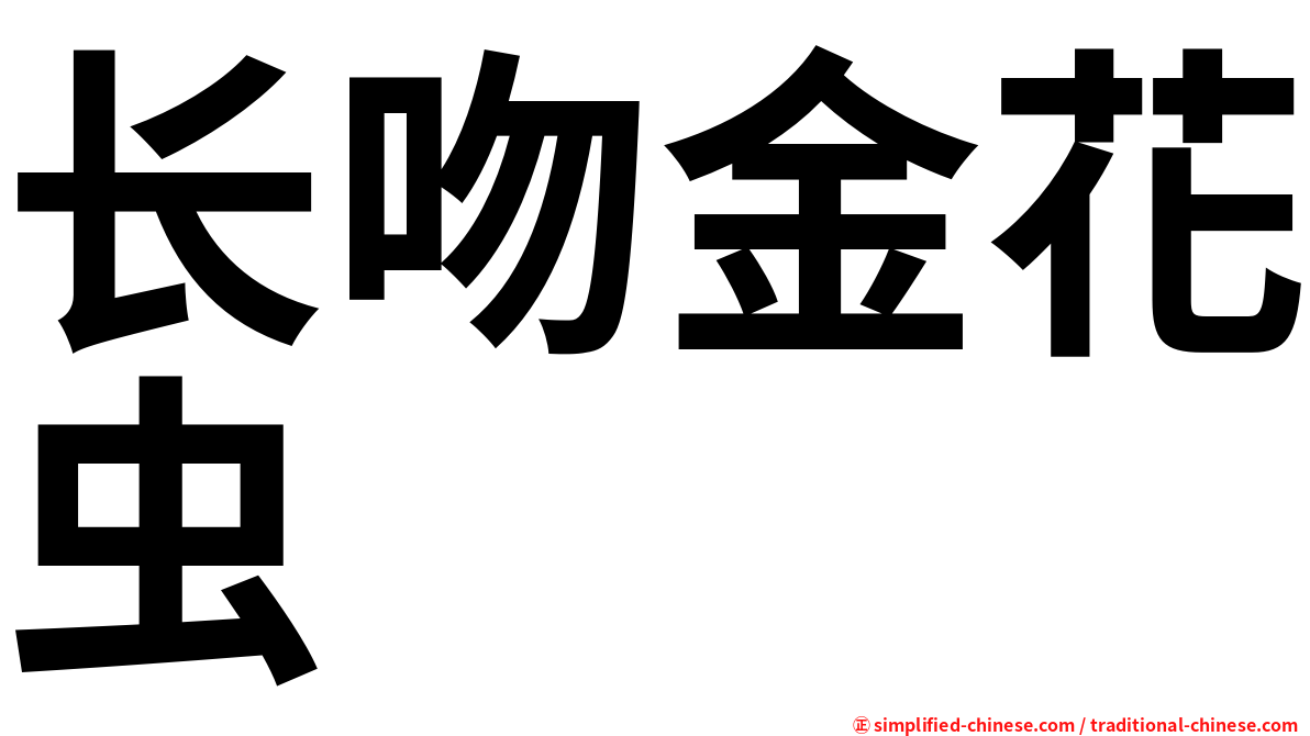 长吻金花虫