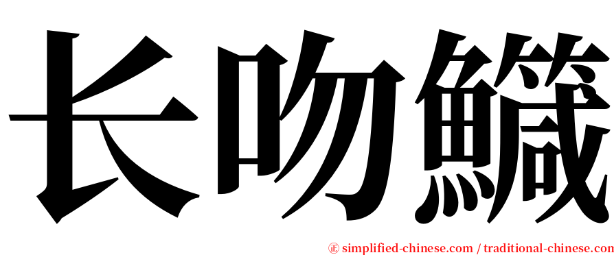 长吻鱵 serif font