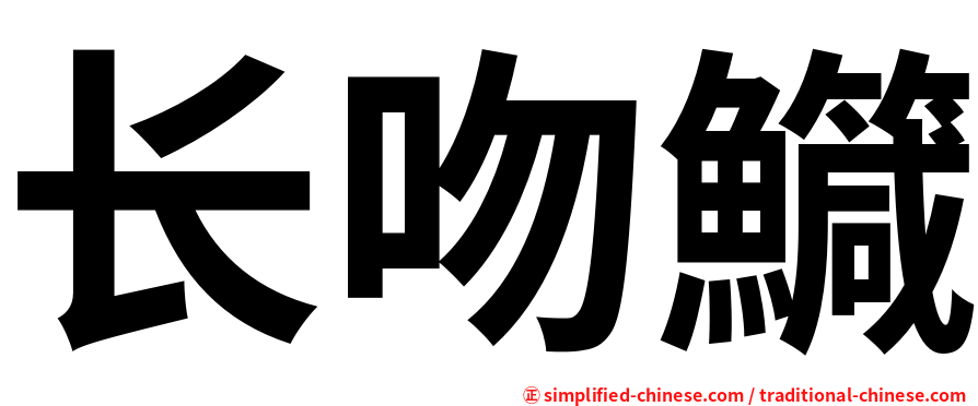 长吻鱵