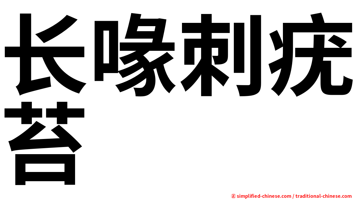 长喙刺疣苔