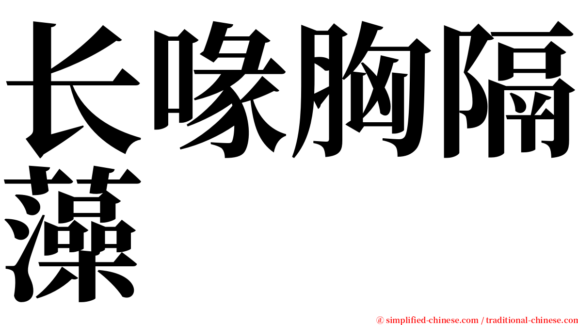 长喙胸隔藻 serif font