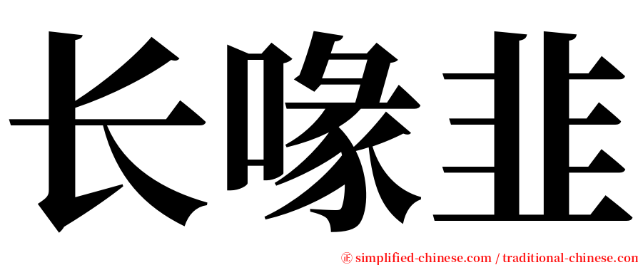 长喙韭 serif font