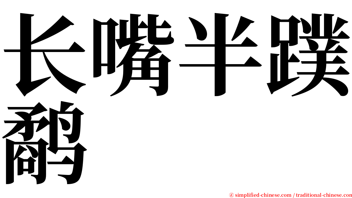 长嘴半蹼鹬 serif font