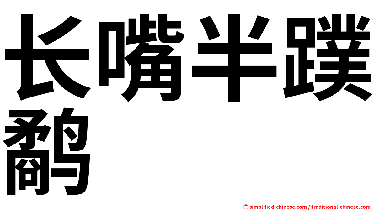 长嘴半蹼鹬