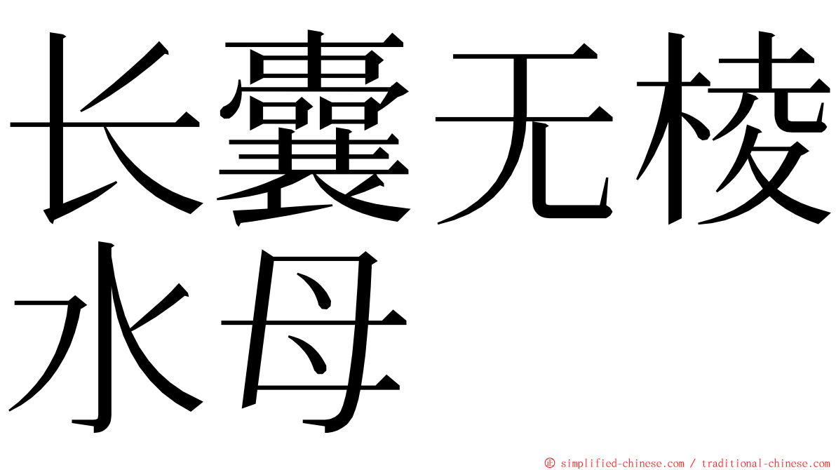 长囊无棱水母 ming font