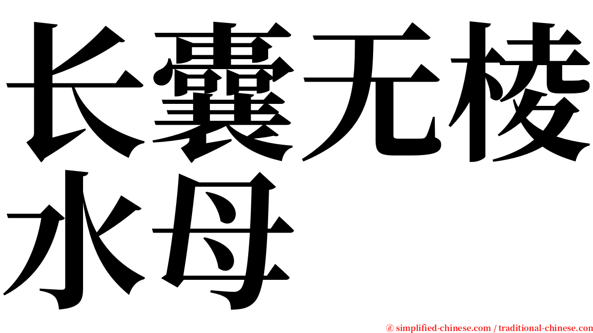 长囊无棱水母 serif font
