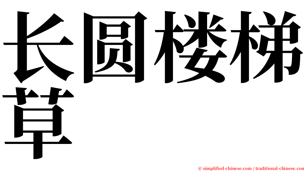 长圆楼梯草 serif font
