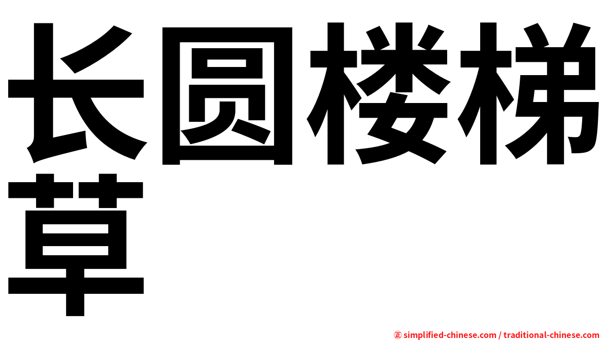 长圆楼梯草