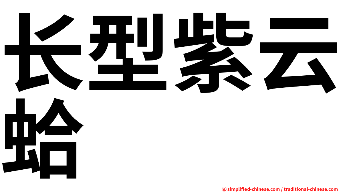 长型紫云蛤