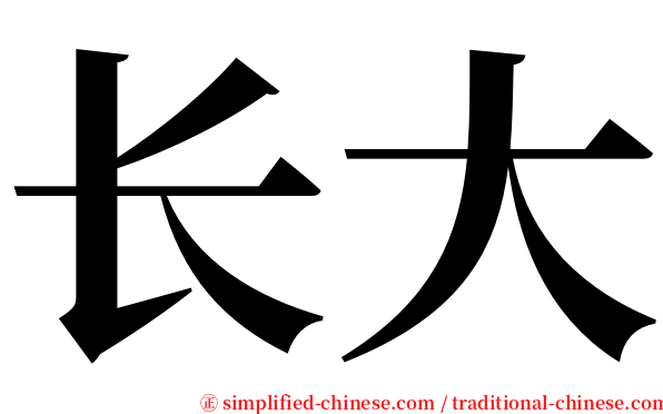 长大 serif font