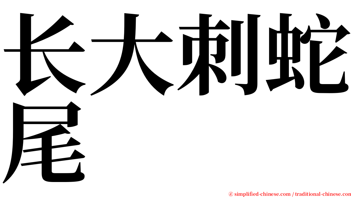 长大刺蛇尾 serif font
