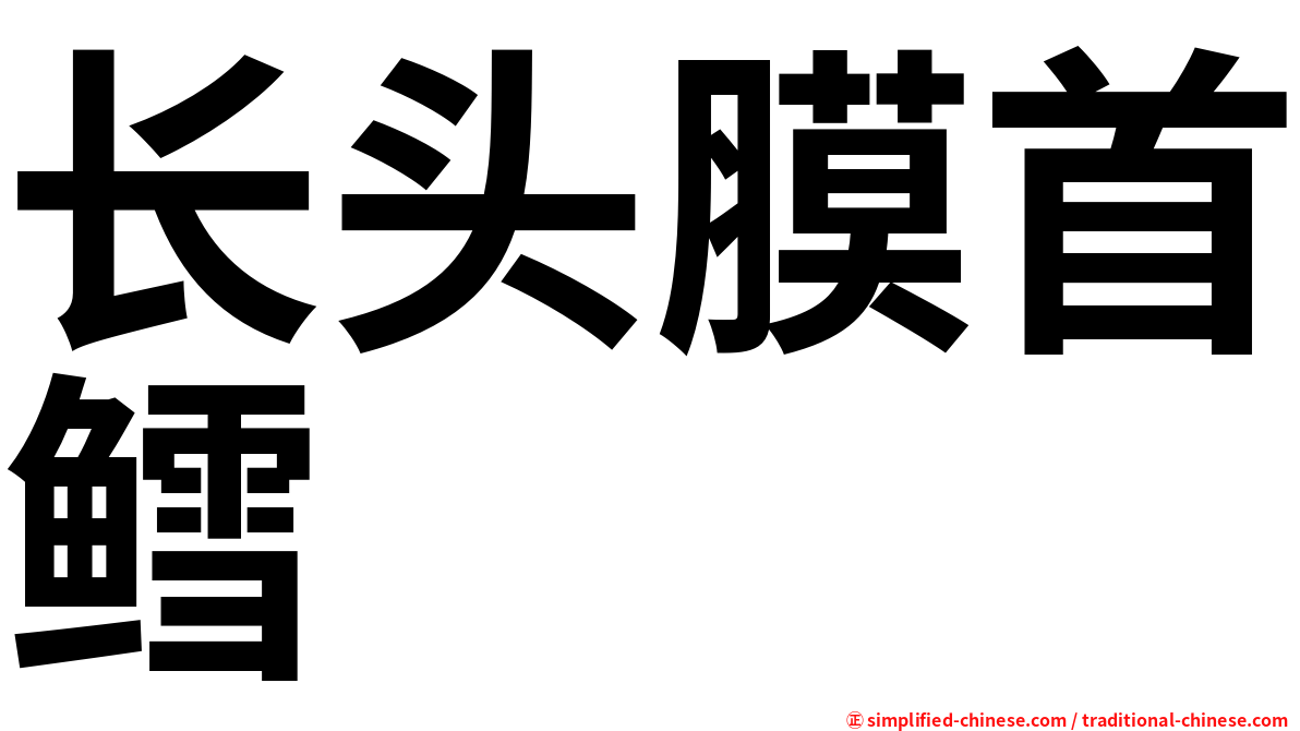 长头膜首鳕