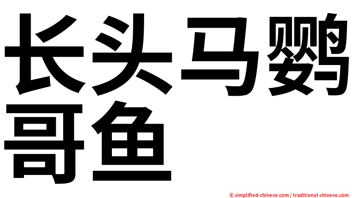 长头马鹦哥鱼