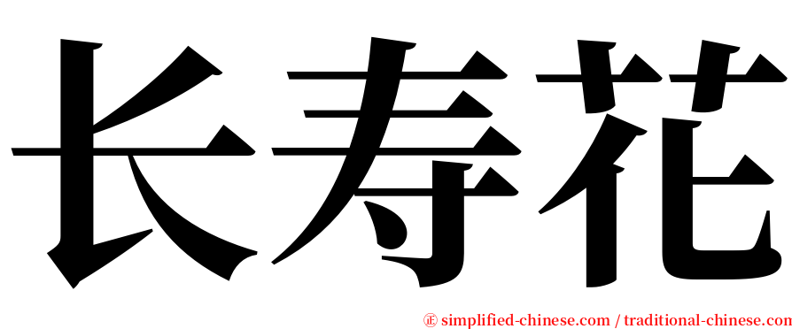 长寿花 serif font