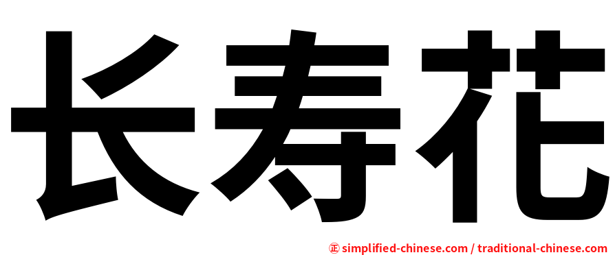 长寿花