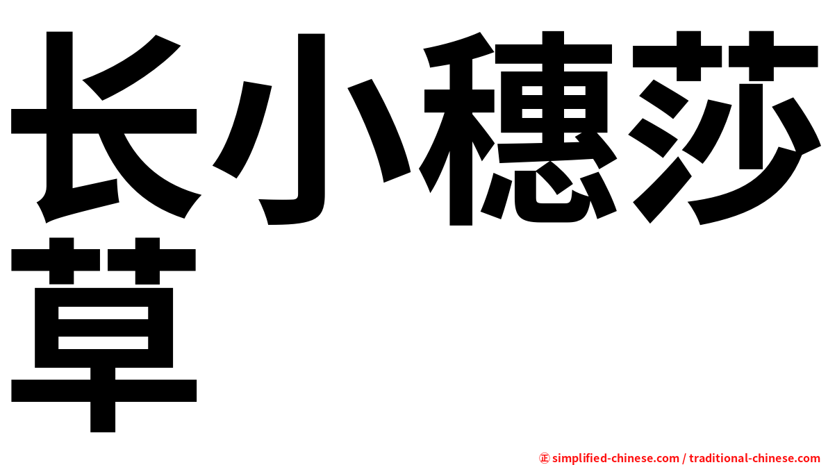 长小穗莎草