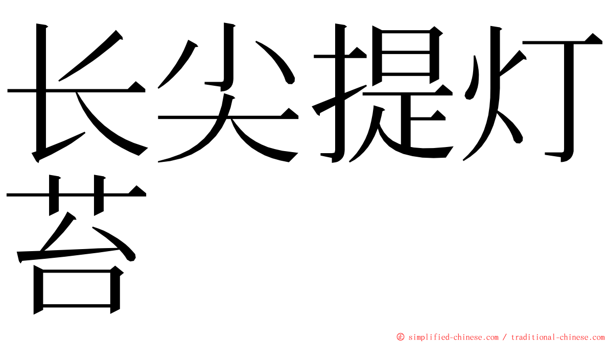 长尖提灯苔 ming font