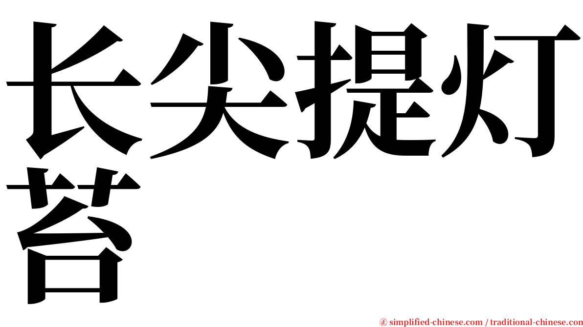 长尖提灯苔 serif font