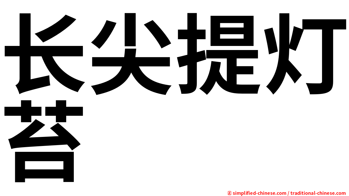 长尖提灯苔