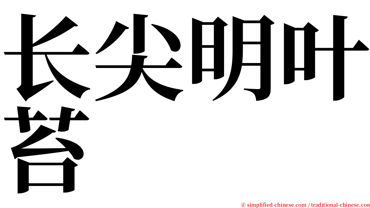 长尖明叶苔 serif font