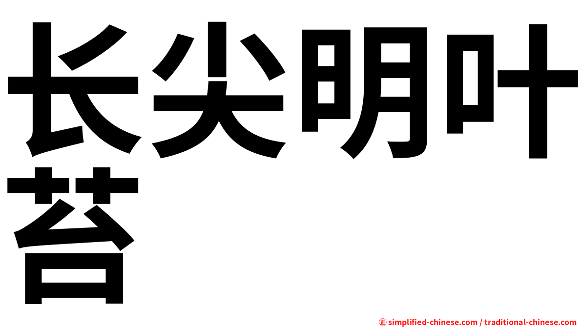 长尖明叶苔