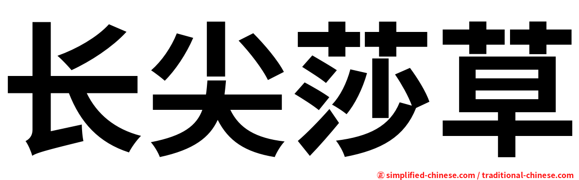 长尖莎草