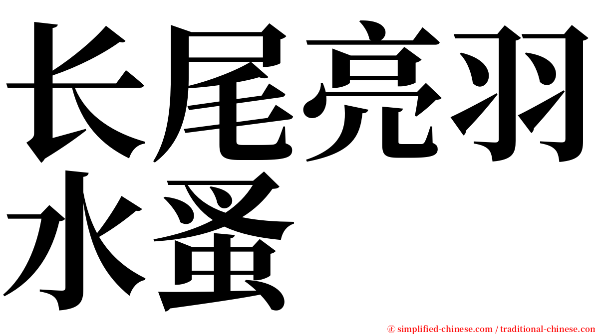 长尾亮羽水蚤 serif font