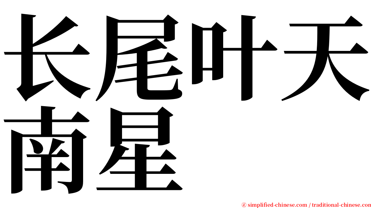 长尾叶天南星 serif font