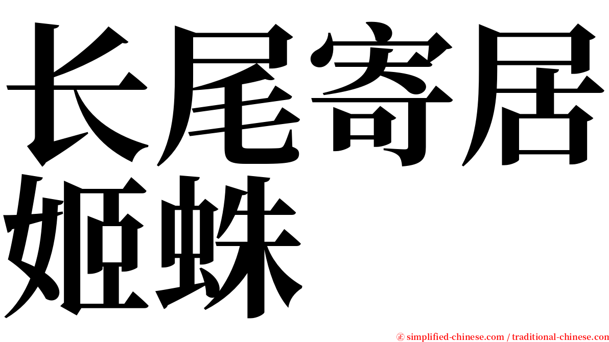 长尾寄居姬蛛 serif font