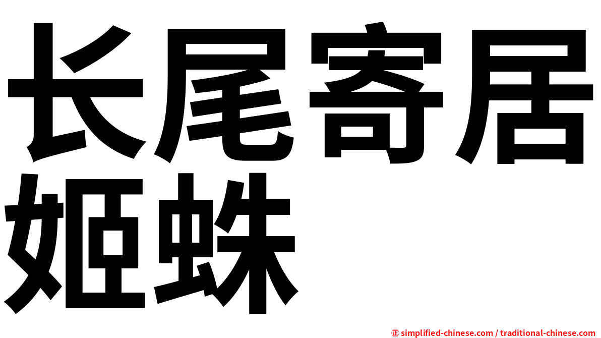 长尾寄居姬蛛