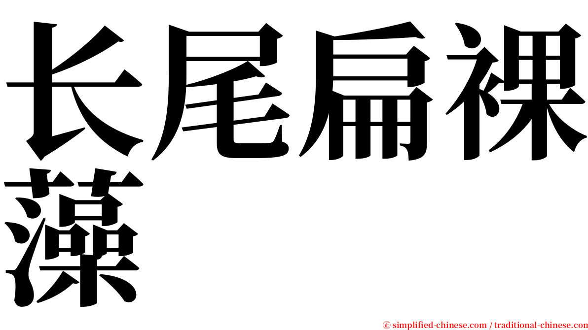 长尾扁裸藻 serif font