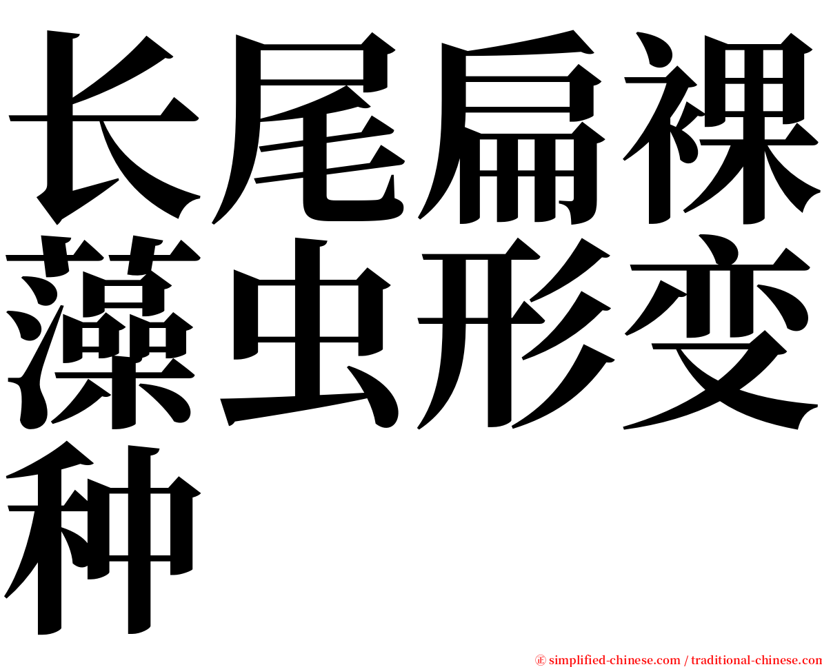 长尾扁裸藻虫形变种 serif font