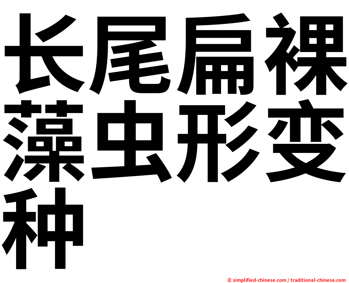 长尾扁裸藻虫形变种