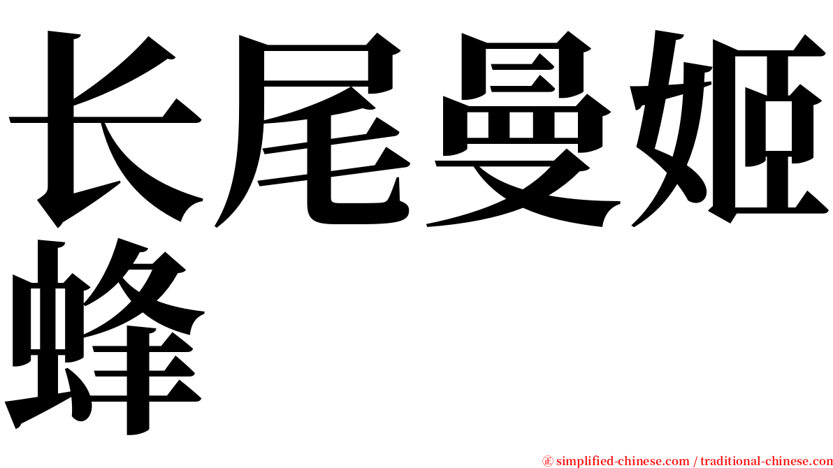 长尾曼姬蜂 serif font