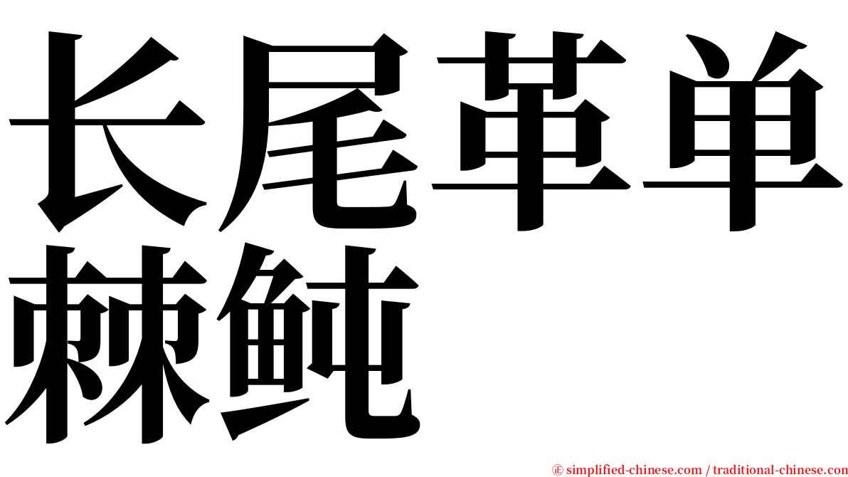 长尾革单棘鲀 serif font
