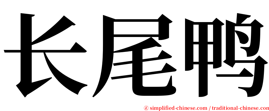 长尾鸭 serif font