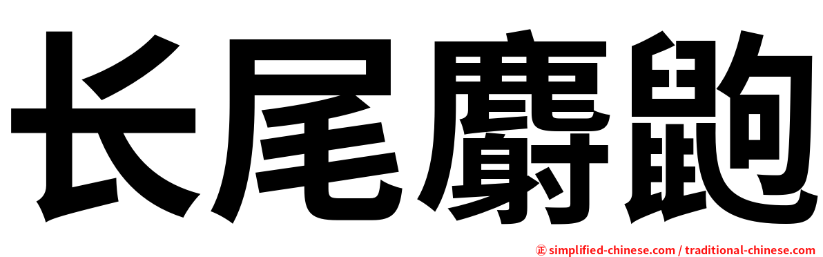 长尾麝鼩