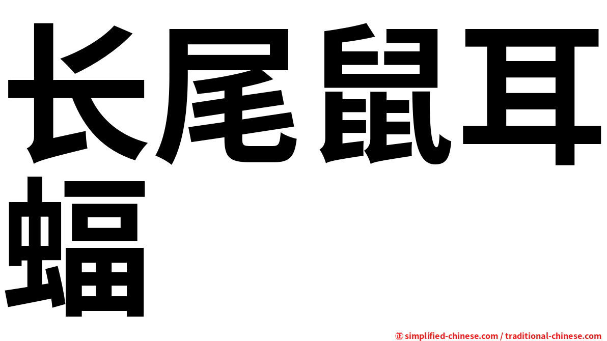 长尾鼠耳蝠