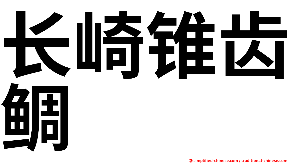 长崎锥齿鲷