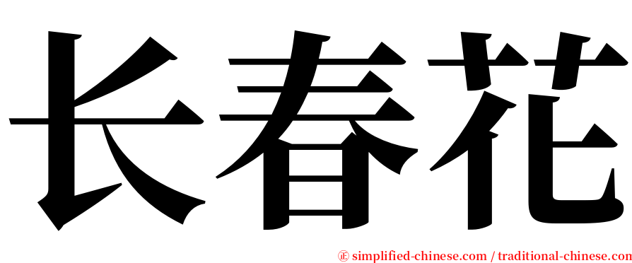 长春花 serif font