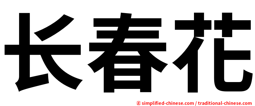 长春花