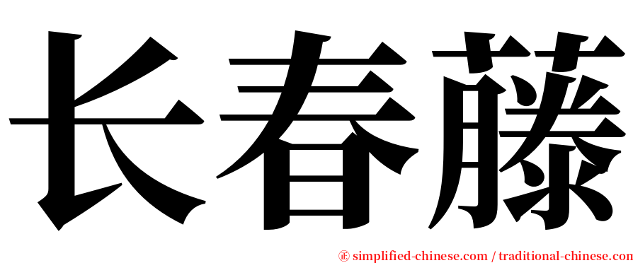 长春藤 serif font