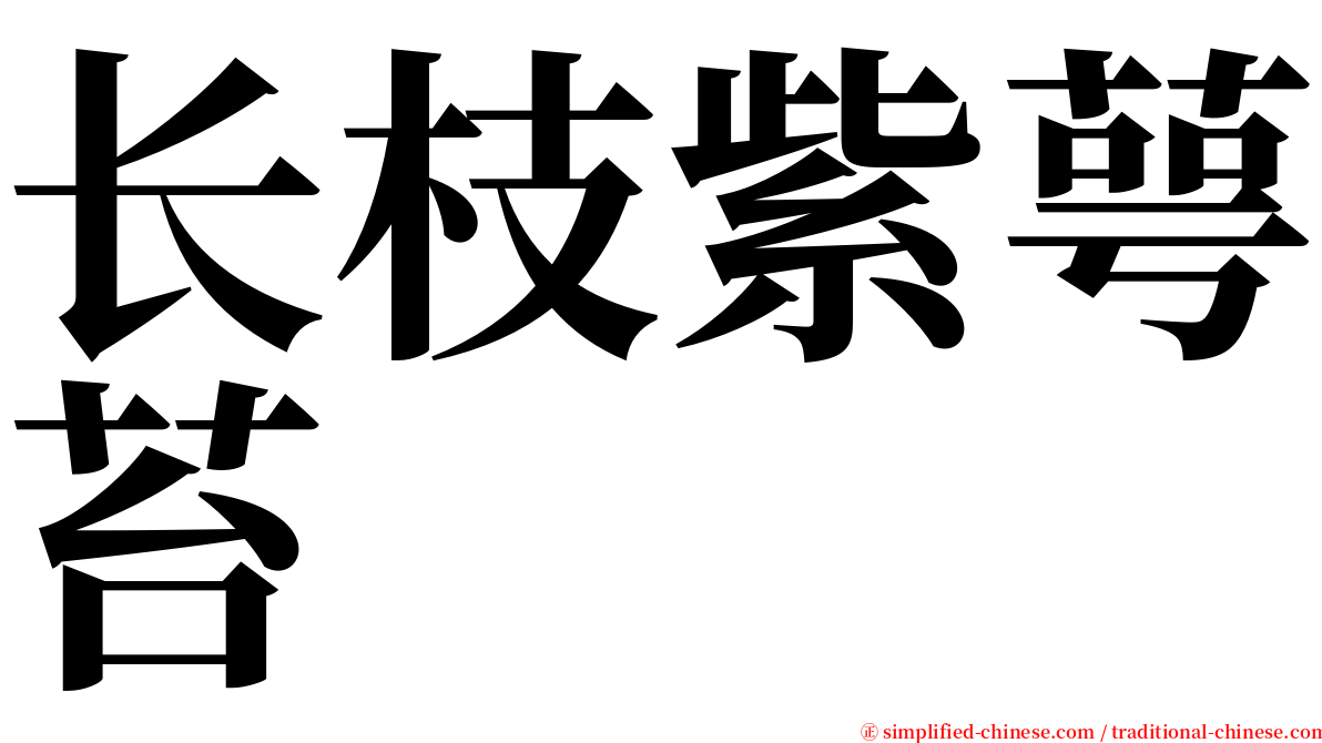 长枝紫萼苔 serif font