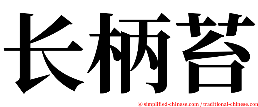 长柄苔 serif font