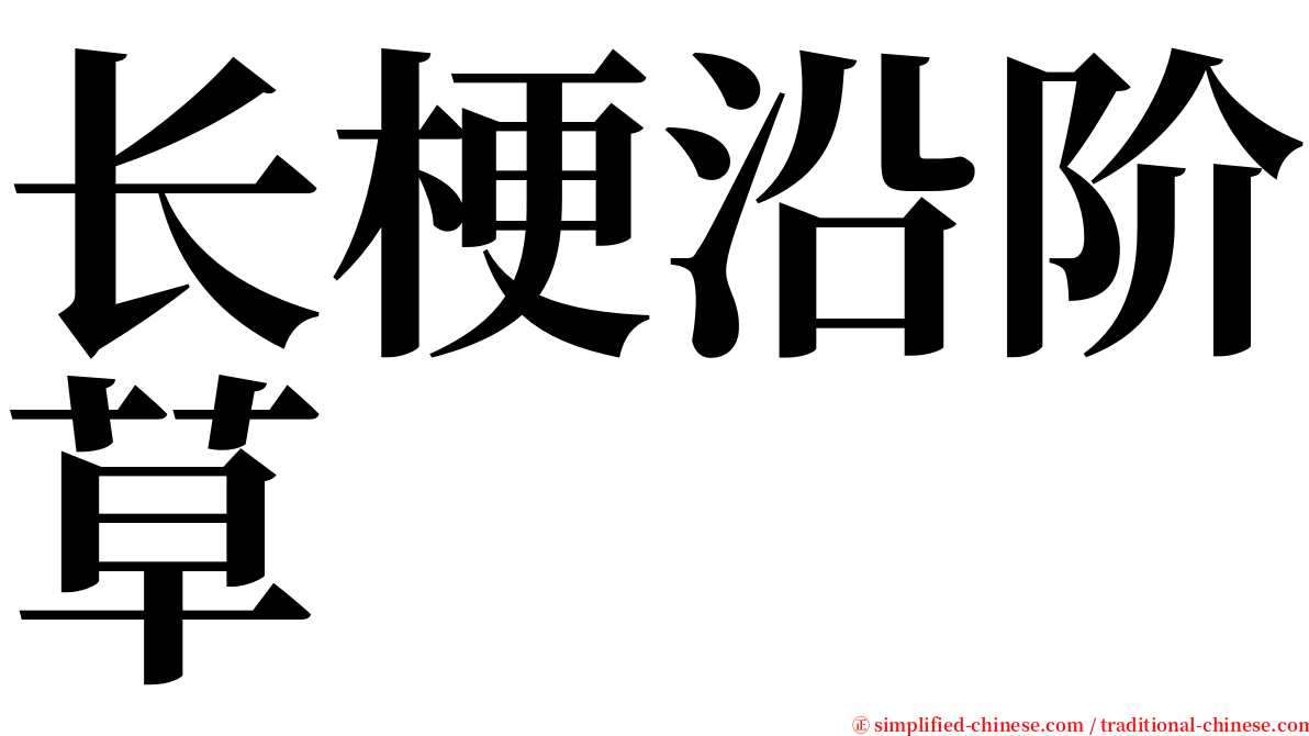 长梗沿阶草 serif font