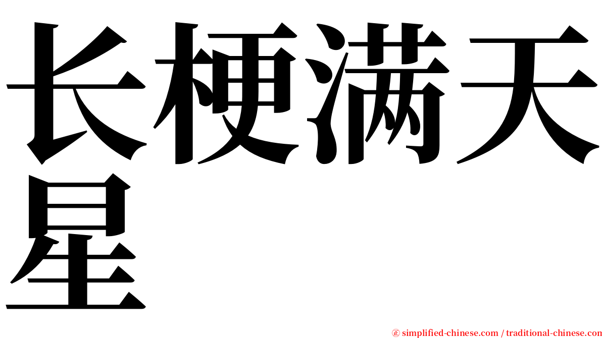 长梗满天星 serif font