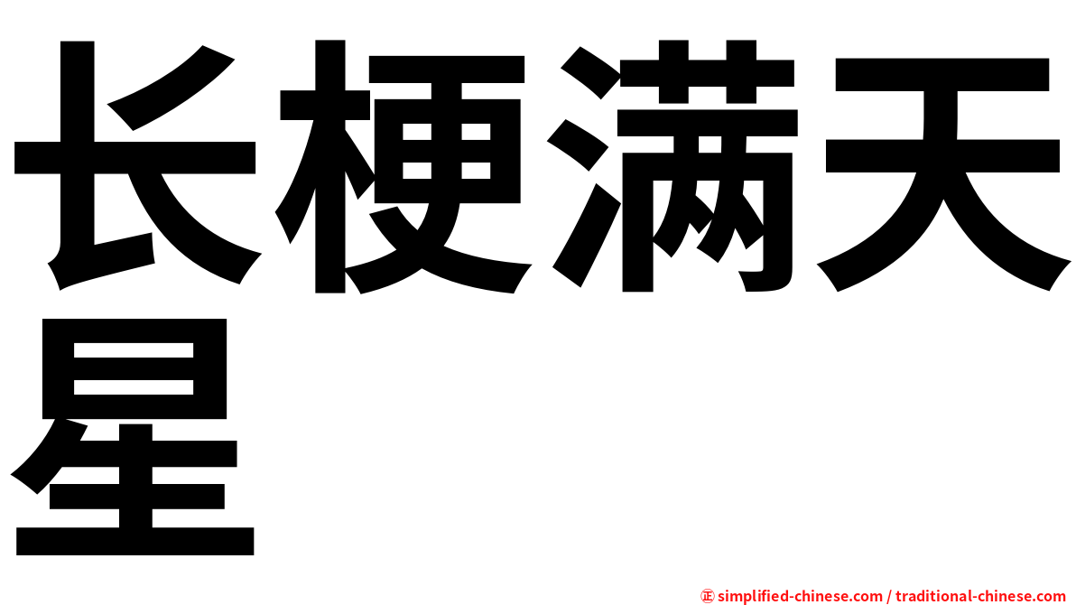 长梗满天星