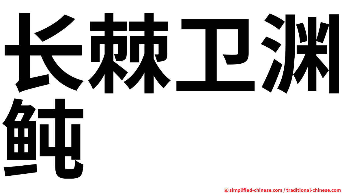 长棘卫渊鲀